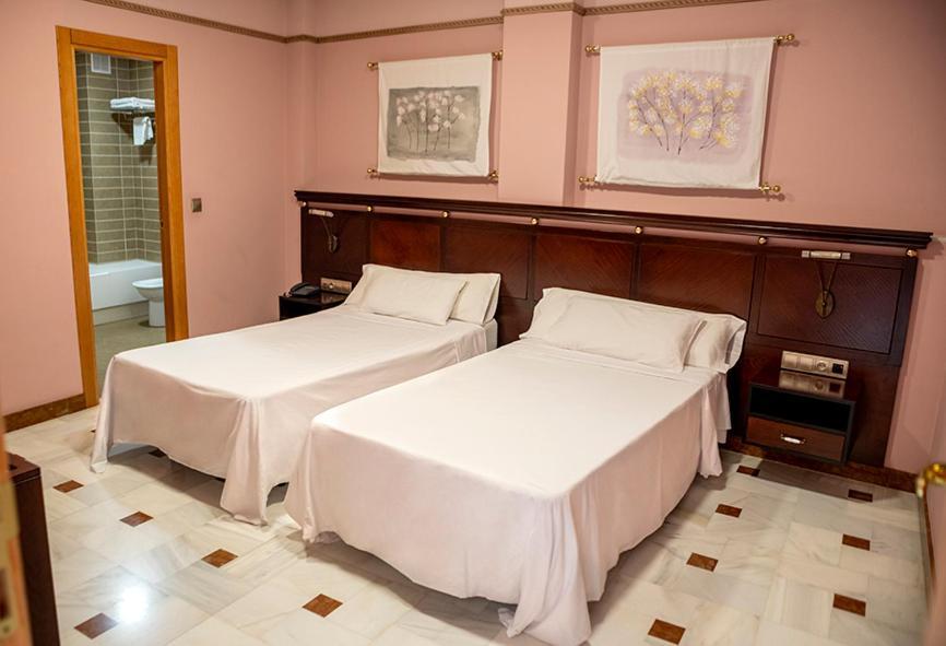 Hotel Don Miguel Plaza Berja