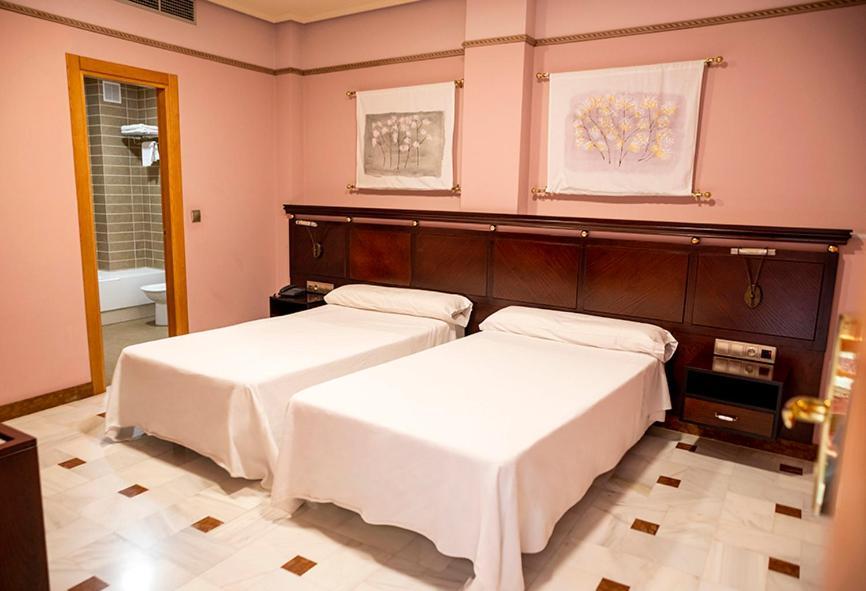 Hotel Don Miguel Plaza Berja
